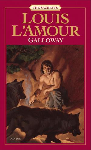 Cover of the book Galloway by Jim Davis