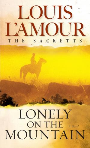 Cover of the book Lonely on the Mountain by Sabry Amin