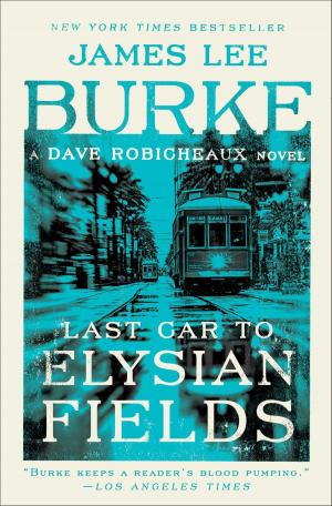 Cover of the book Last Car to Elysian Fields by Nancy Warren