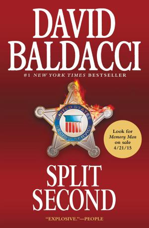 Book cover of Split Second