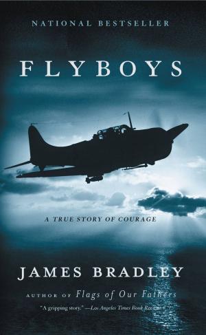 Cover of the book Flyboys by Donna Tartt