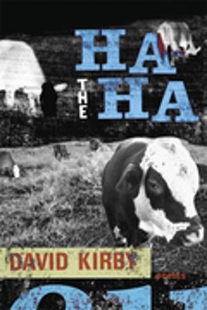 Cover of the book The Ha-ha by Christina Vella