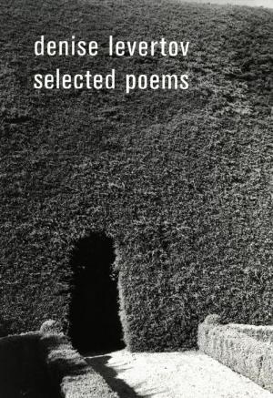 Cover of the book Selected Poems by Hilda Doolittle