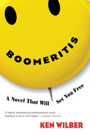 Cover of the book Boomeritis by Daniel Reid