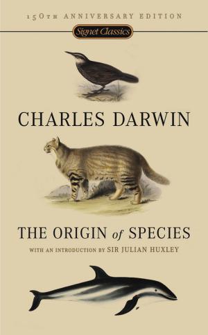 Book cover of The Origin Of Species