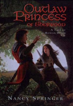 Cover of the book Outlaw Princess of Sherwood by Lauren Child