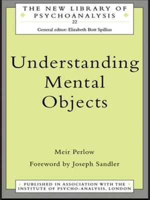 Book cover of Understanding Mental Objects