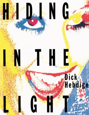 Cover of the book Hiding in the Light by David Banks