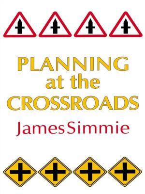 Cover of the book Planning At The Crossroads by Shoko Hamano, Takae Tsujioka
