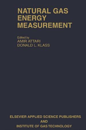 Cover of the book Natural Gas Energy Measurement by Erik Lindström, Henrik Madsen, Jan Nygaard Nielsen