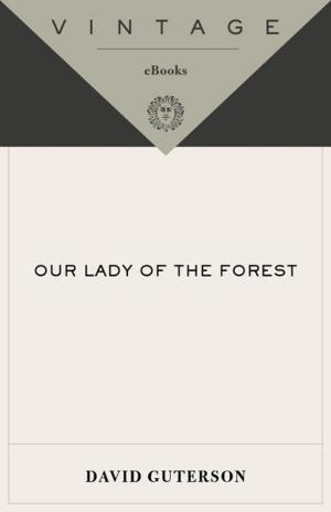 Cover of the book Our Lady of the Forest by Anita Brookner