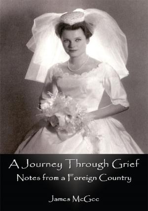Cover of the book A Journey Through Grief by Tracy Dirst
