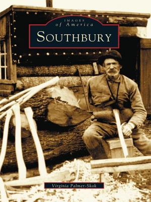 Book cover of Southbury