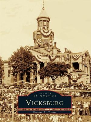 Cover of the book Vicksburg by Bill Menner