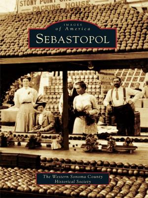 Cover of the book Sebastopol by David MacGregor
