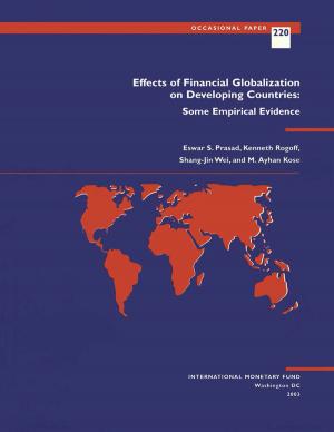 Book cover of Effects of Financial Globalization on Developing Countries: Some Empirical Evidence