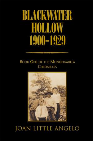 Cover of the book Blackwater Hollow 1900-1929 by Patricia L. Carpenter