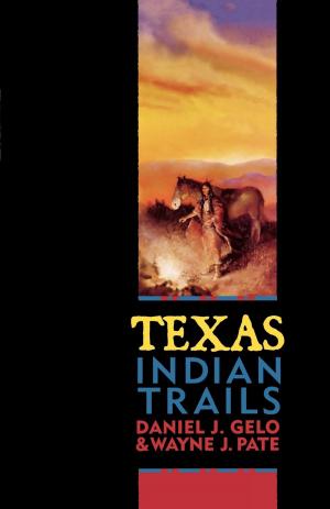 Cover of the book Texas Indian Trails by Barry Wilner, Ken Rappoport