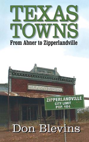 Cover of the book Texas Towns by Gerry Hempel Davis
