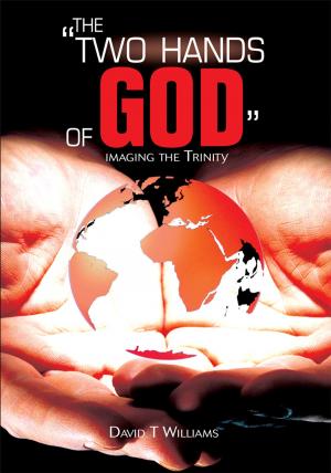 Cover of the book The "Two Hands of God" by Daurius Figueira