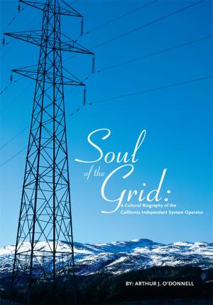 Book cover of Soul of the Grid