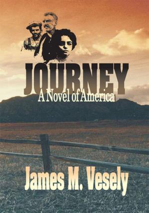 Cover of the book Journey by Anne Wilson Schaef PhD DHL