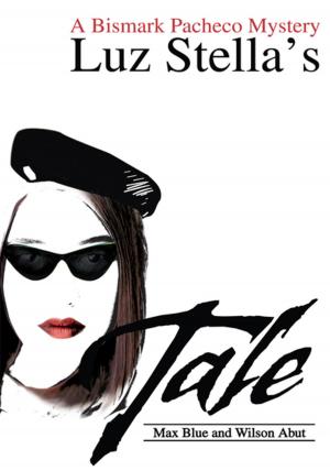 Cover of the book Luz Stella's Tale by Paul Stegweit