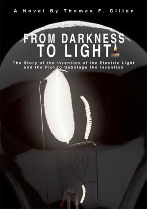 Cover of the book From Darkness to Light by Hanes Segler