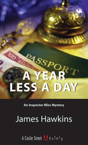 bigCover of the book A Year Less a Day by 