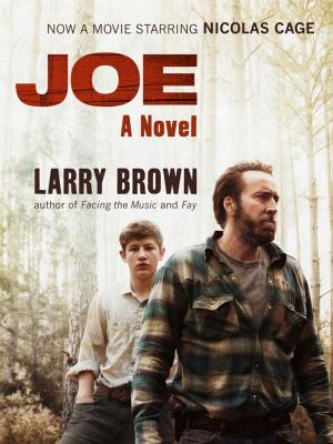 Cover of the book Joe by Eric Gorges, Jon Sternfeld