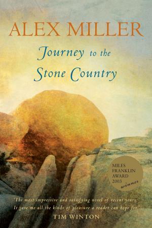Cover of the book Journey to the Stone Country by Jean I. Martin