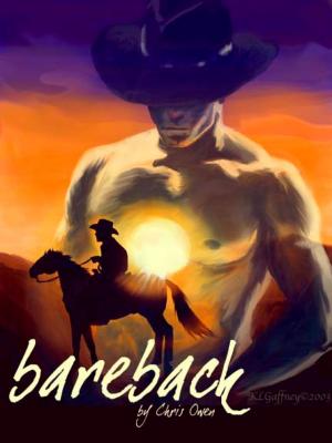 Cover of the book Bareback by Lou Harper