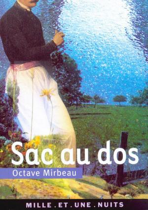 Cover of the book Sac au dos by Renaud Camus