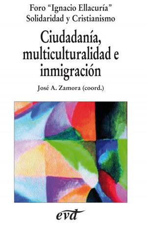 Cover of the book Ciudadanía multiculturalidad e inmigración by Massimo Faggioli