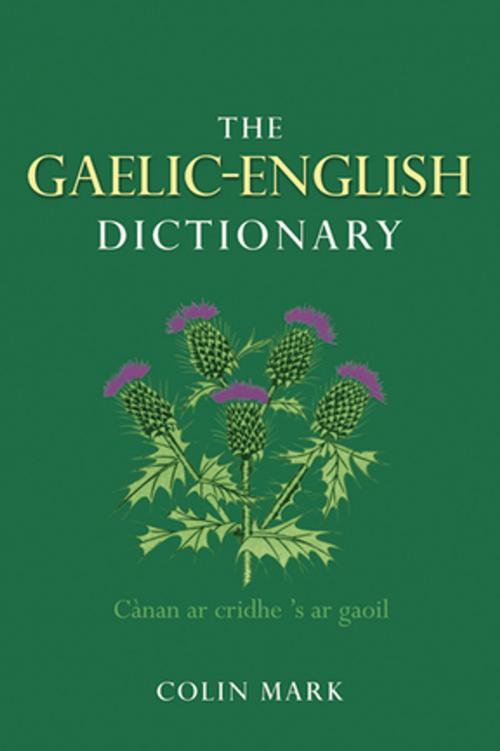 Cover of the book The Gaelic-English Dictionary by Colin B.D. Mark, Taylor and Francis