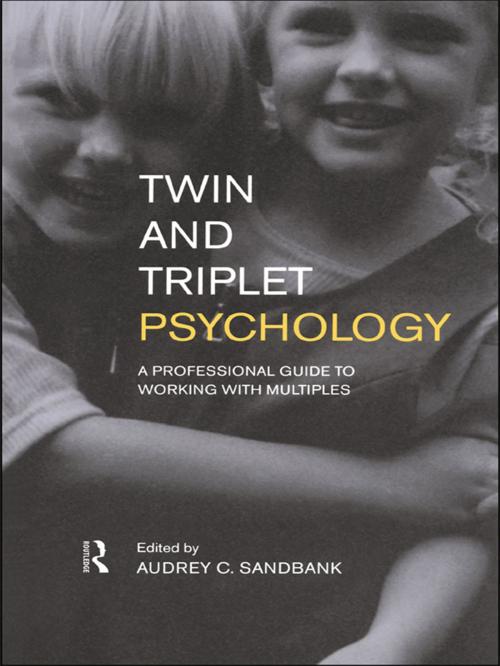 Cover of the book Twin and Triplet Psychology by , Taylor and Francis