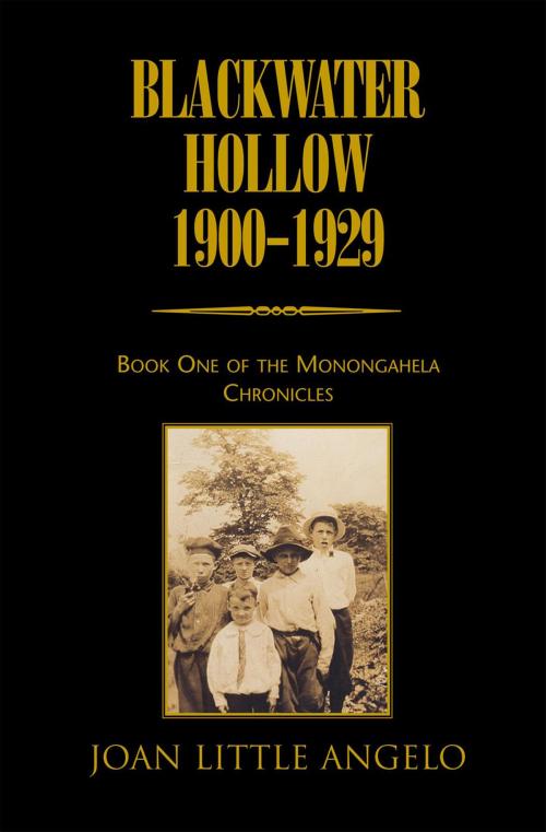 Cover of the book Blackwater Hollow 1900-1929 by Joan Little Angelo, Xlibris US