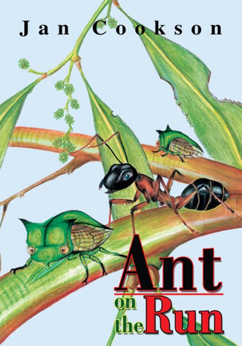 Cover of the book Ant on the Run by Jan Cookson, iUniverse
