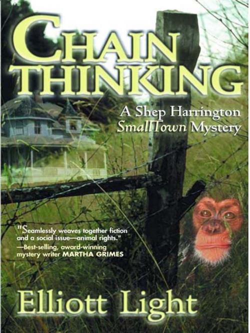 Cover of the book Chain Thinking by Elliott Light, Bancroft Press