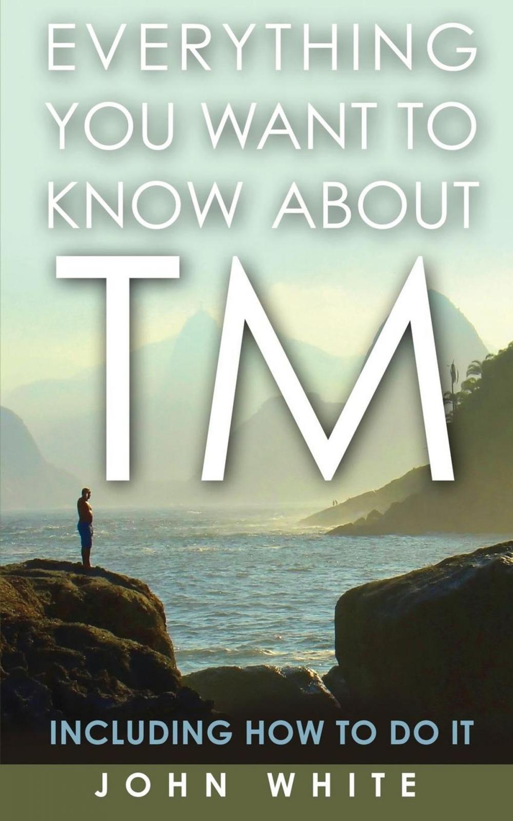 Big bigCover of Everything You Want to Know About TM