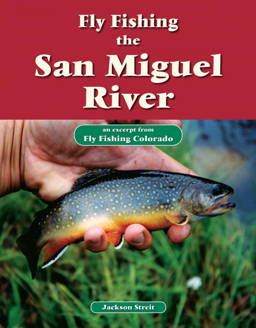 Big bigCover of Fly Fishing the San Miguel River