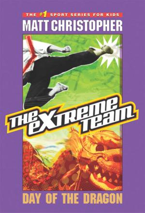 Book cover of The Extreme Team #2