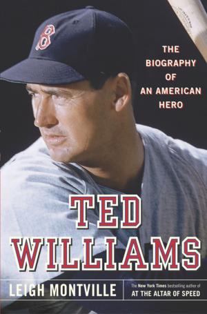 Cover of the book Ted Williams by Minette Walters