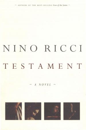Book cover of Testament
