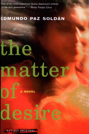 Cover of the book The Matter of Desire by Rebecca Doughty