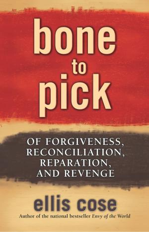 Cover of the book Bone to Pick by Susan Sizemore