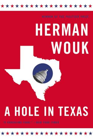 Cover of the book A Hole in Texas by Rachel Urquhart