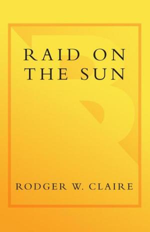 Cover of Raid on the Sun