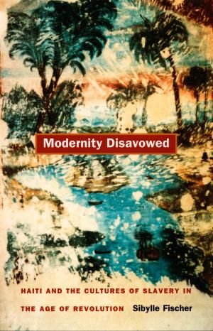 Cover of the book Modernity Disavowed by Louise Amoore