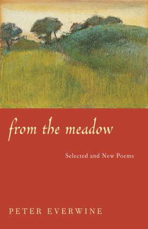 Cover of the book From The Meadow by Kathleen George